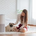 Discover The Best 20x25x4 HVAC Furnace Home Air Filters For Local Air Purifiers